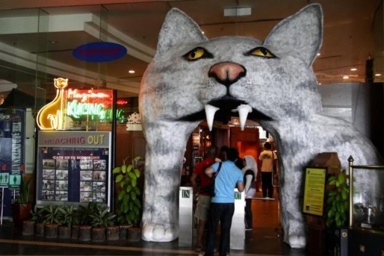 متحف قطط كوتشينغ بماليزيا